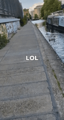 giphy (13).gif