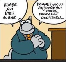 Avatar du membre